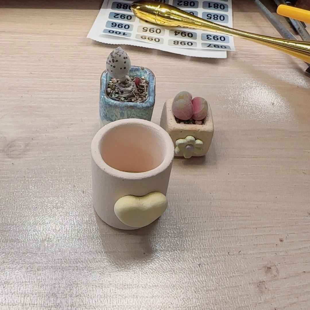 雪***天T毛翠种好，粉海豹种爱心盆盆口2.5cm