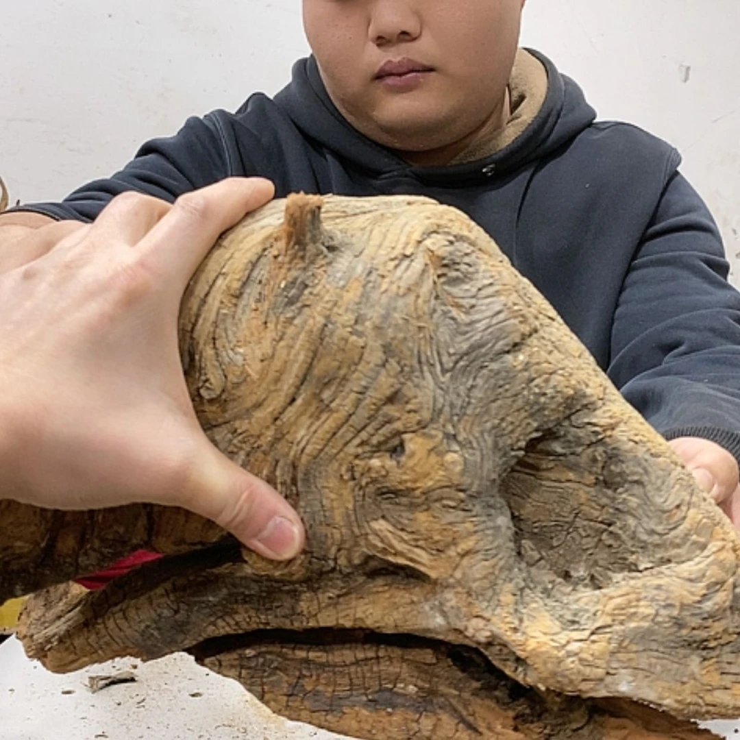 【闪购商品】柏木正****馆我们都是好孩子