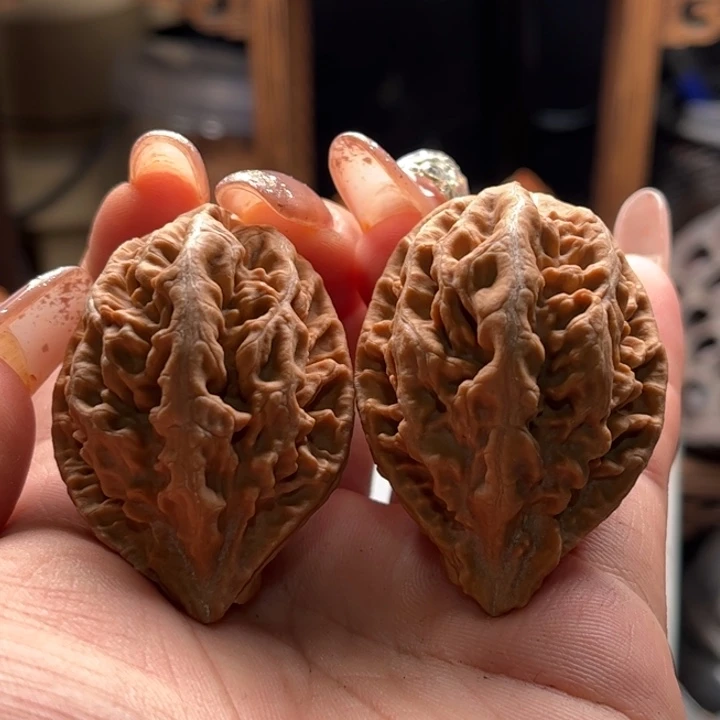 文玩核桃把件楸大胖43