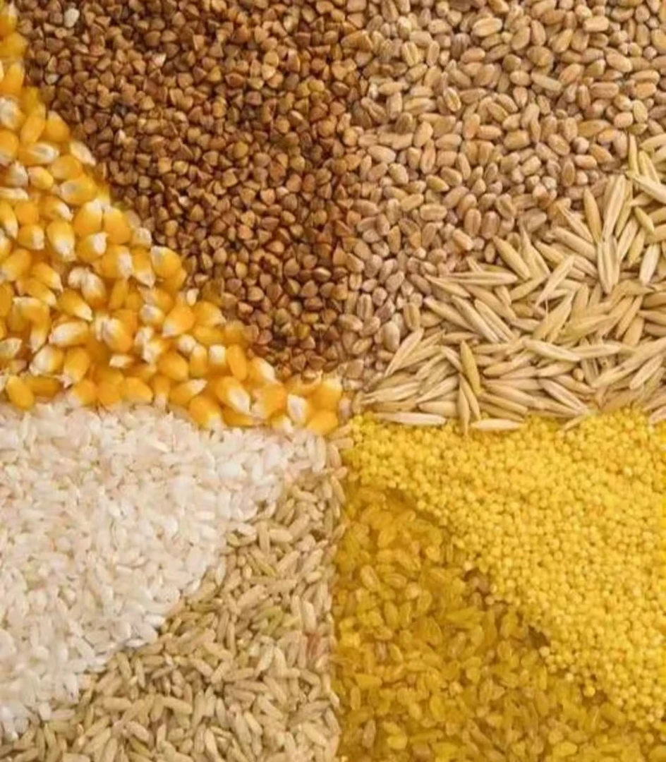 云南土特产山货沉临时链接米面