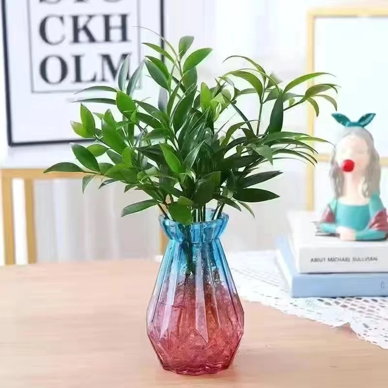 竹柏水培驱蚊新宠植物客厅卧室桌面绿植绿植水培植物