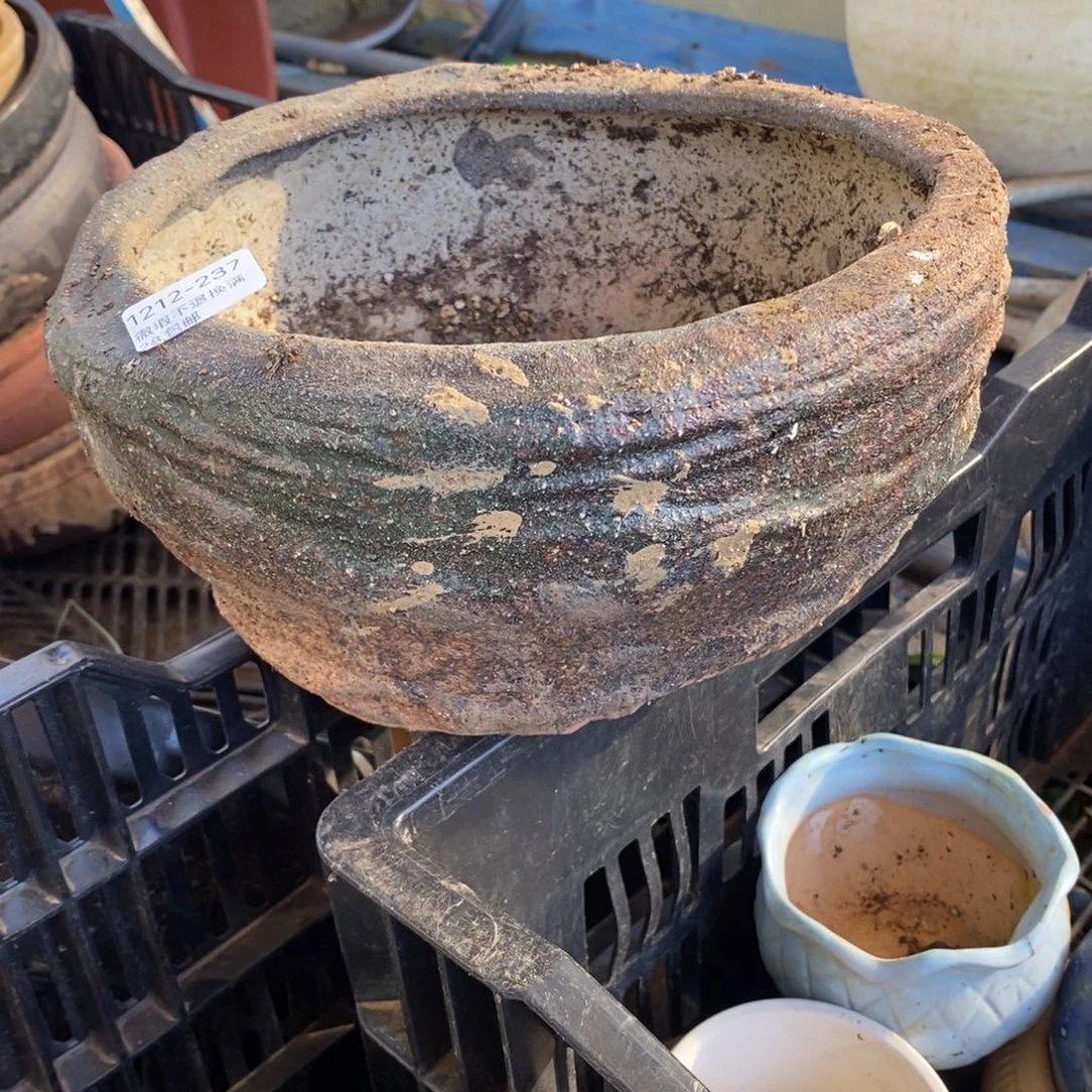 237号多肉盆口径19