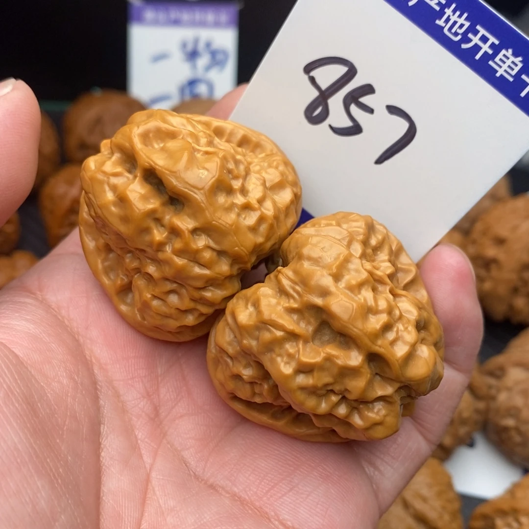 核桃蛤蟆41nomnom