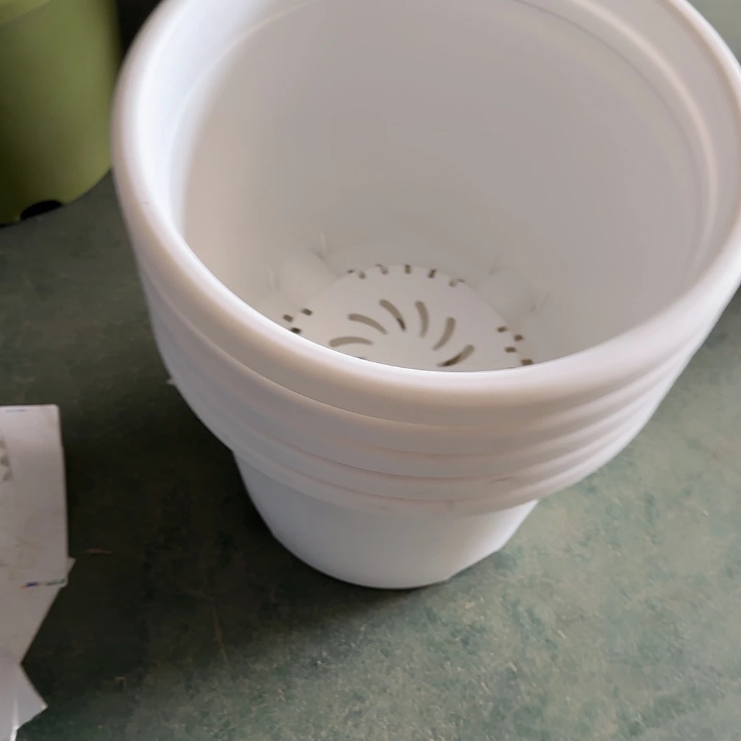 树脂编号5005，白