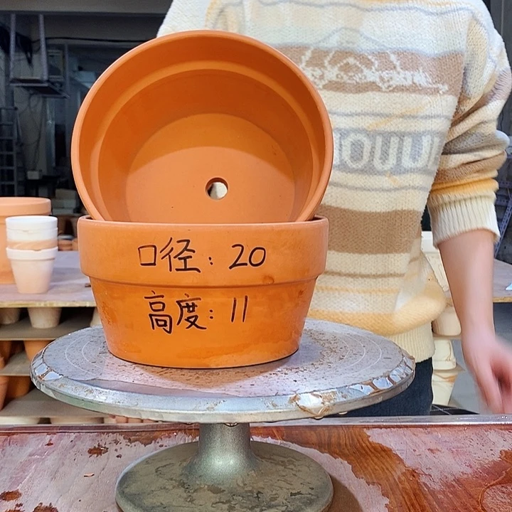 红陶20×11-2