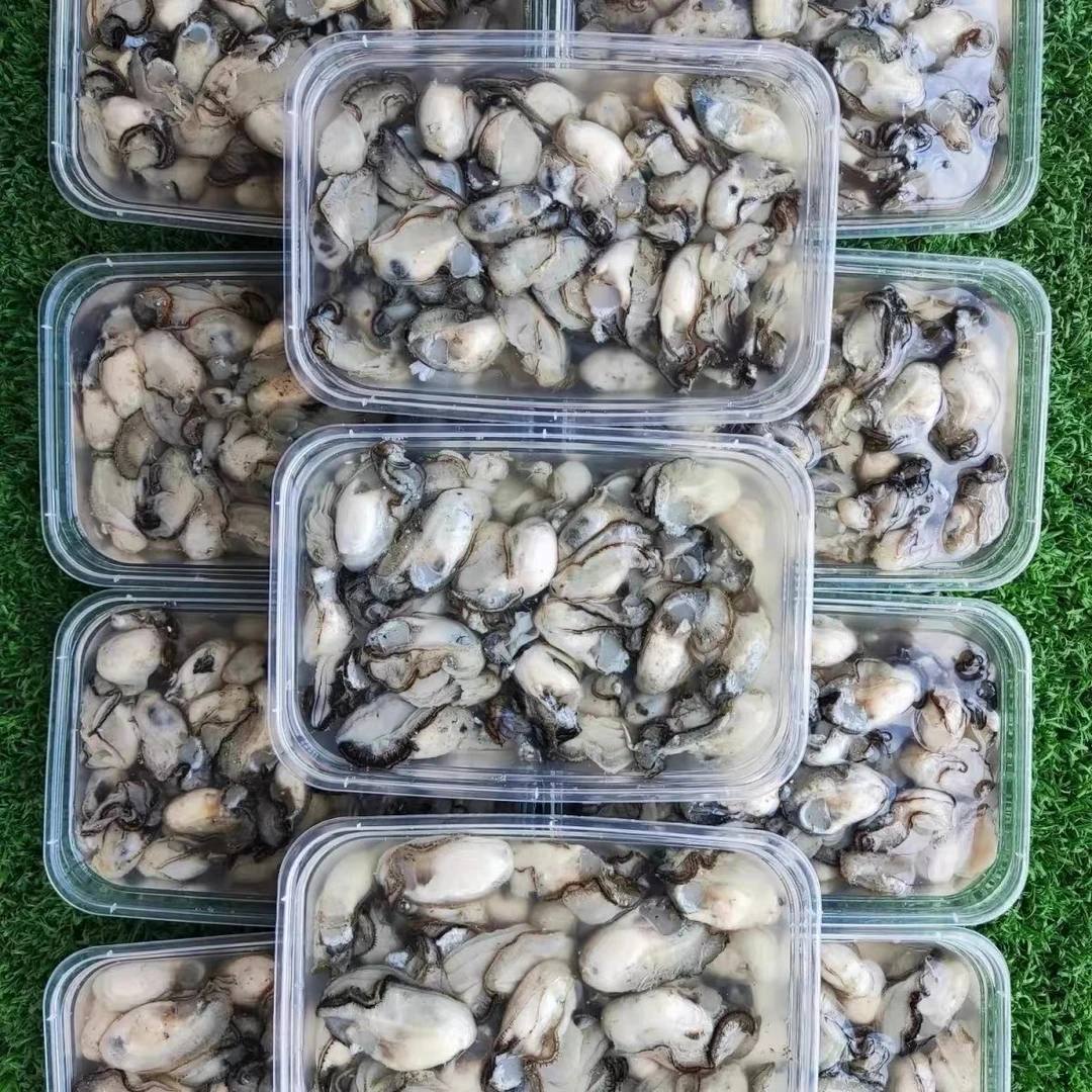 汫洲生蚝去壳现剥新鲜小海蛎生蚝牡蛎肉海鲜水产可做蚵仔煎蚝烙