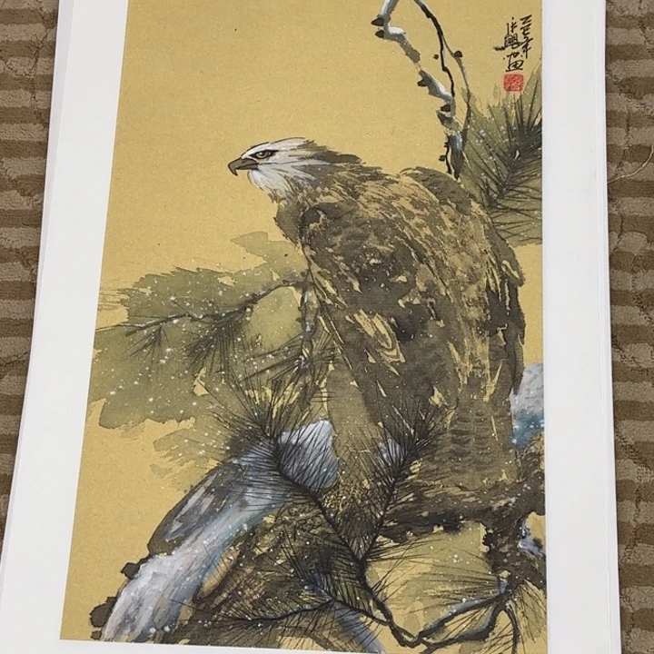 国画花鸟等多种鸟类的栖息环境和