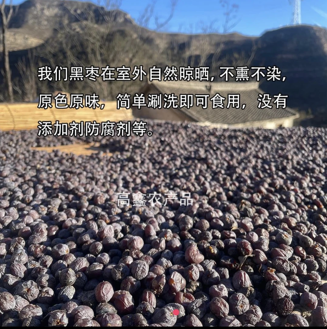 太行山无核黑枣君迁子