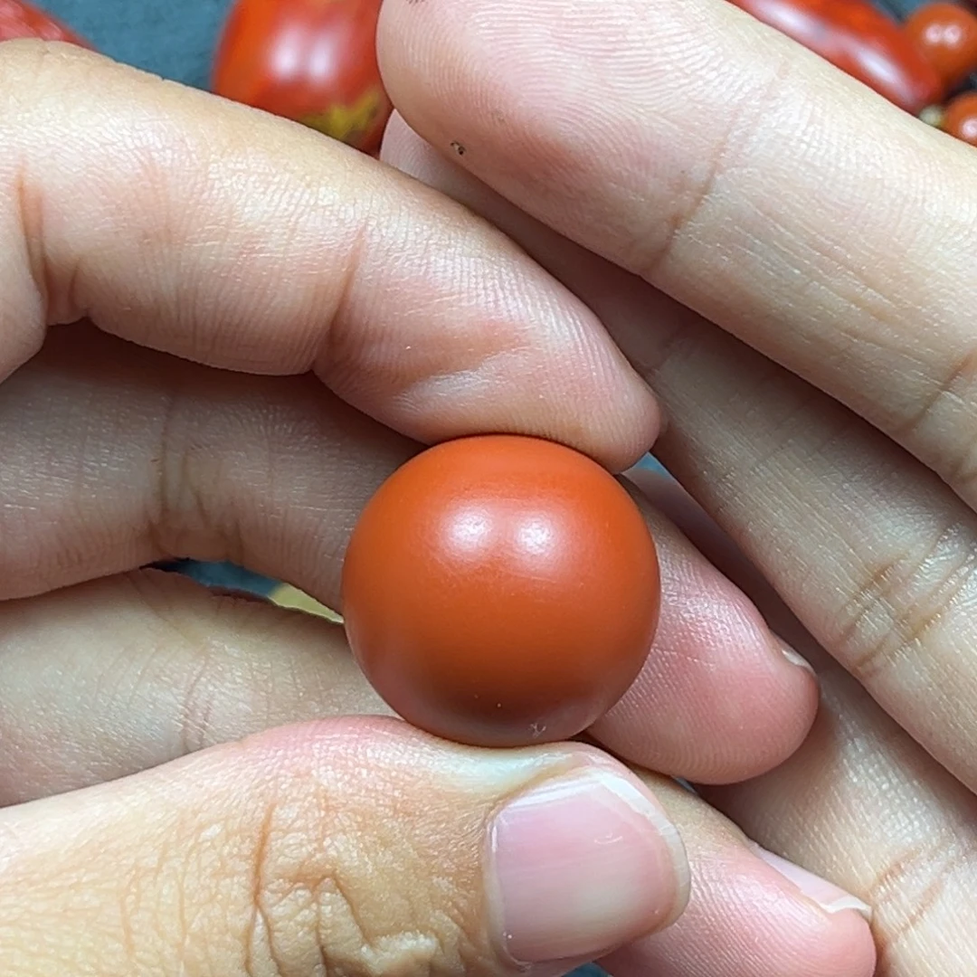 大***花南红玛瑙未镶嵌珠