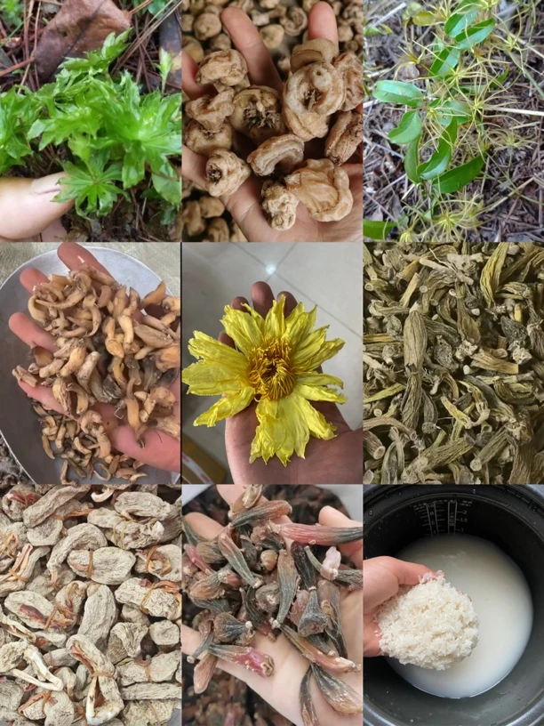 边境临时链接，非香菇