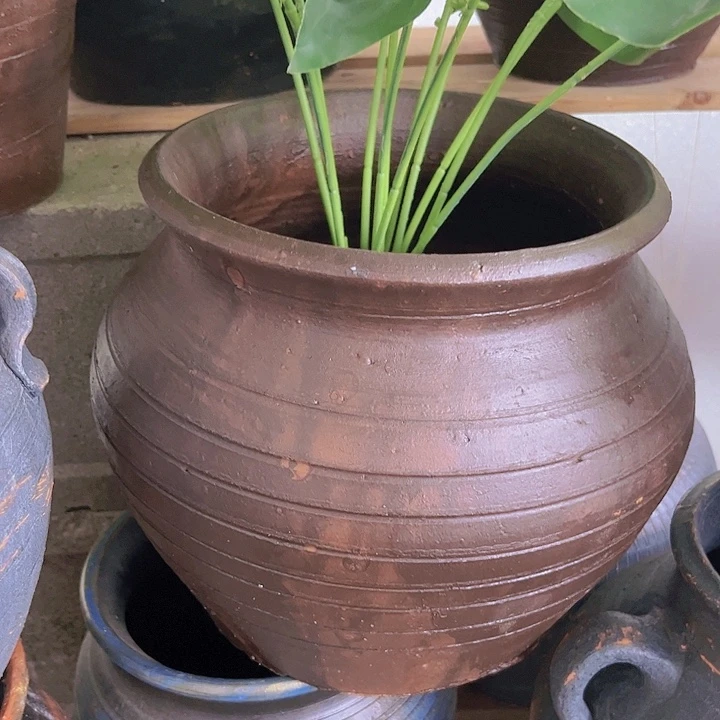 红陶188号20×18咖瑕