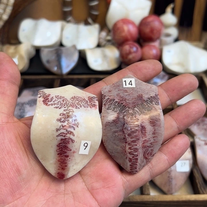 养殖梅花鹿三界牌