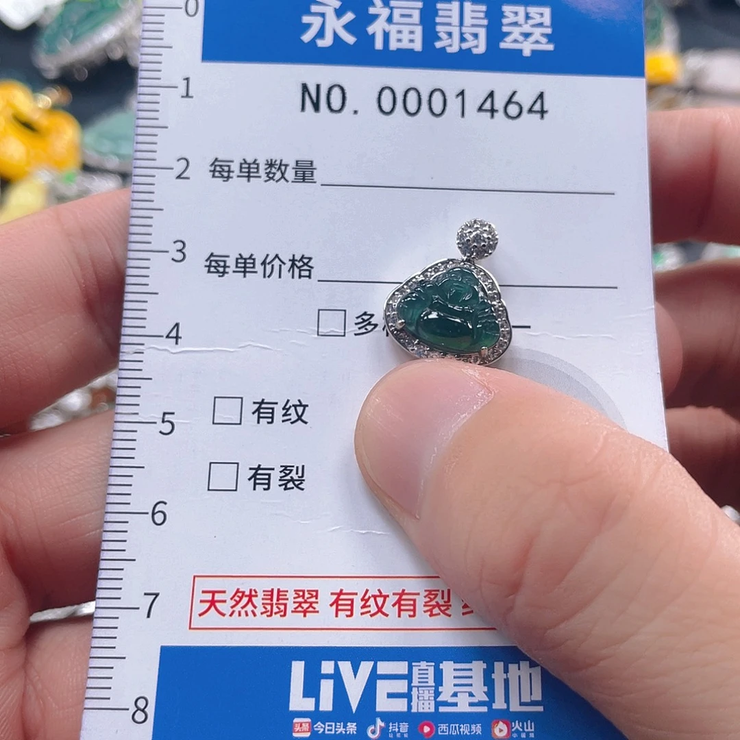 翡翠未镶嵌吊坠(不含链)