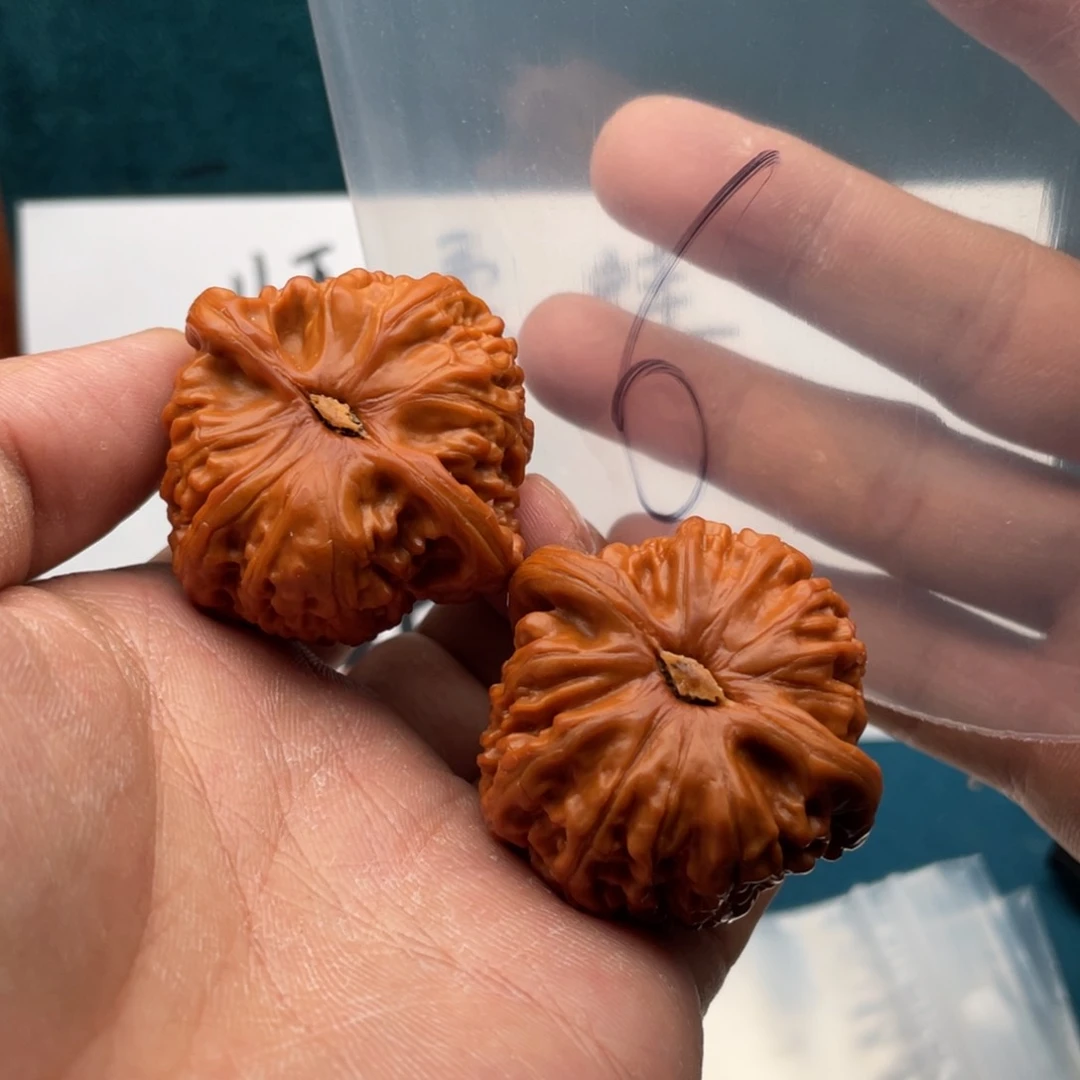 核桃手串/手链A:68468469648386583