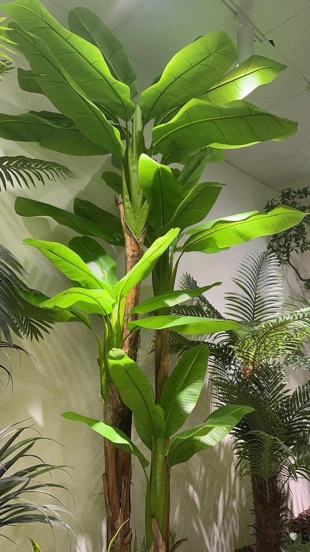 定制款仿真芭蕉树