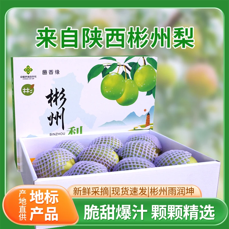 陕西彬州梨（朱家山村）玉露香梨脆甜多汁细腻化渣产地直发新鲜水果