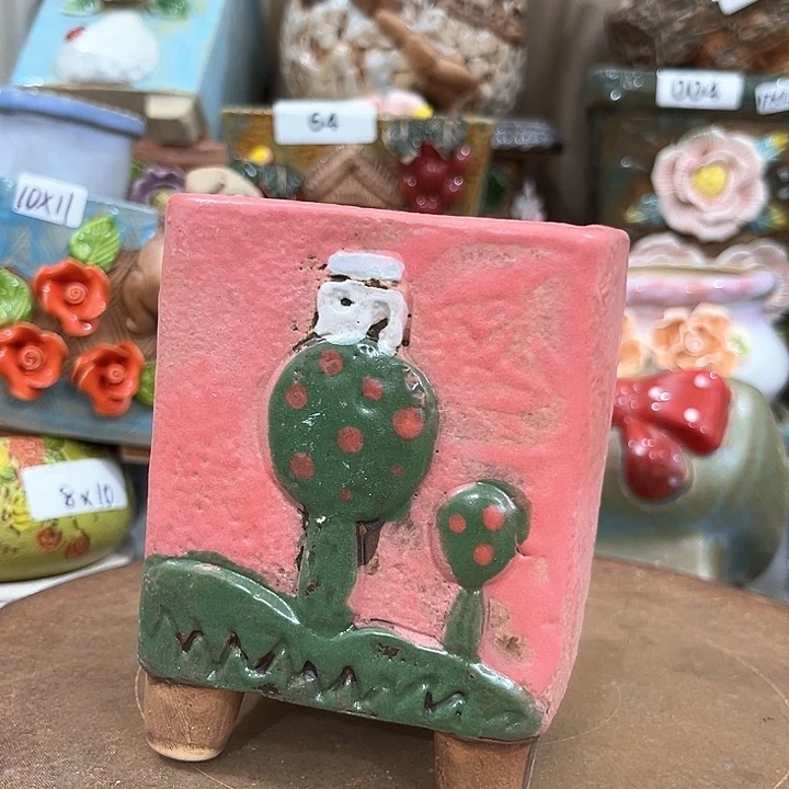 红陶粗陶多肉花盆中