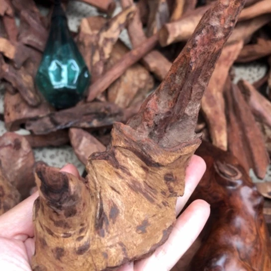 其他黄花梨/降香黄檀