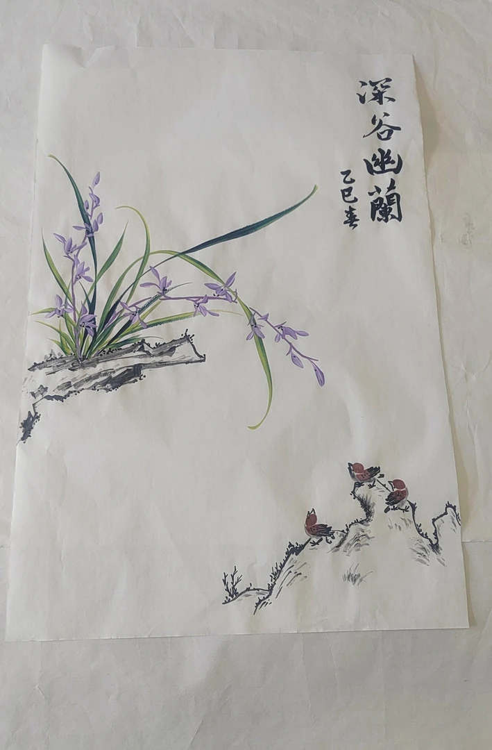 国画立体兰花虫鸟画心 教学临摹欣赏  立体飘逸  随机发