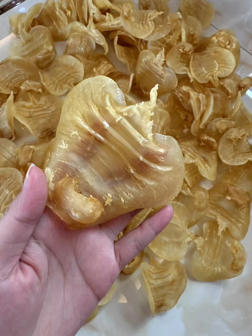 湛江赤嘴公肚鱼胶花胶广东发货孕妇产后滋补干货