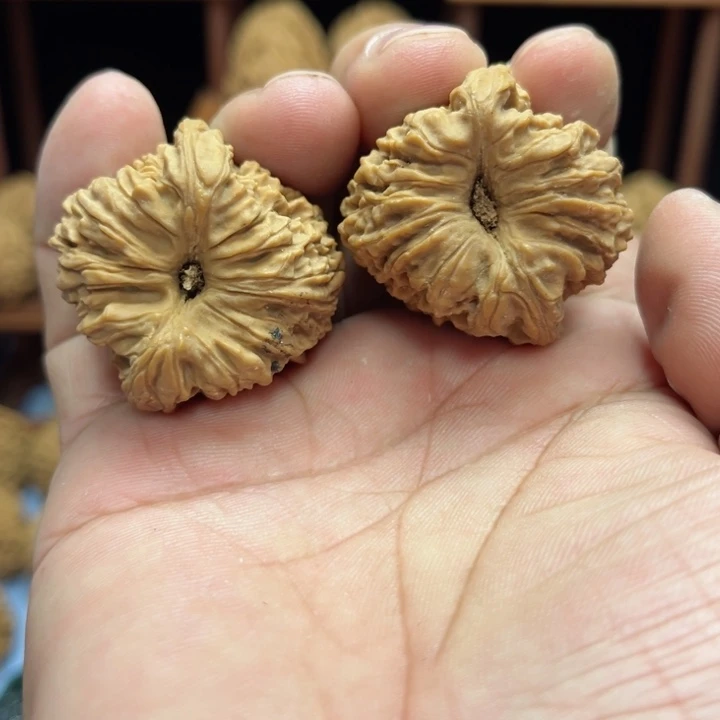 完全开放文****盘南疆石