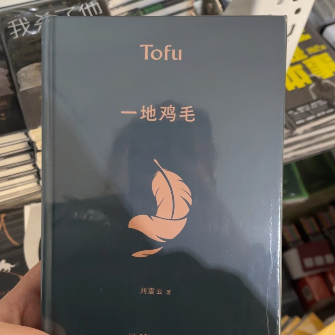 一地鸡毛精装一个