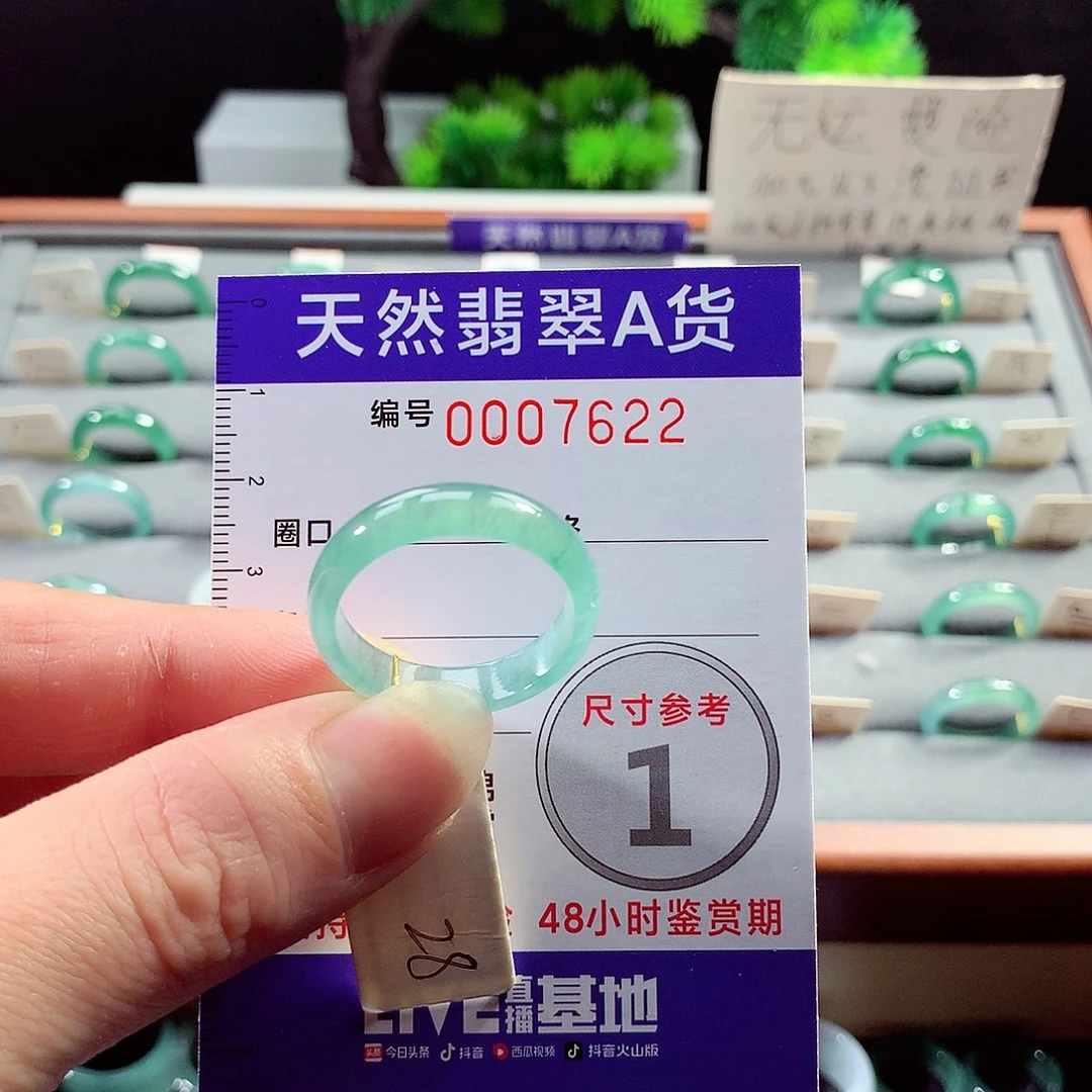 翡翠戒指未镶嵌28号