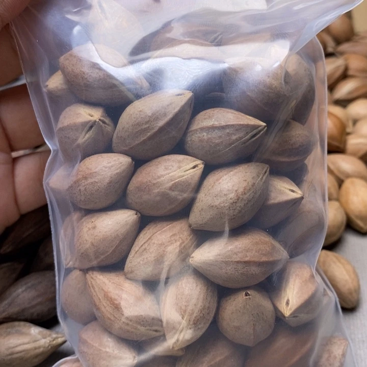 橄榄核手串/手链凯