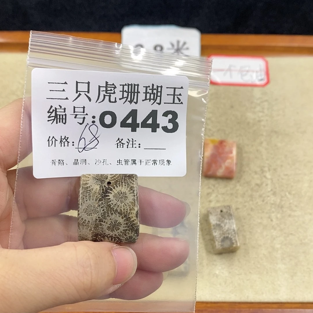 硅化珊瑚（珊瑚玉）1未镶嵌晴**月