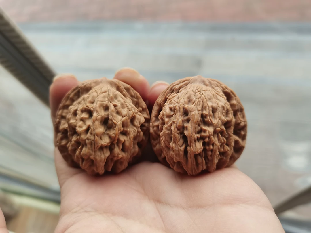 25号无修白茬麦穗虎头核桃，尺寸跟着直播走