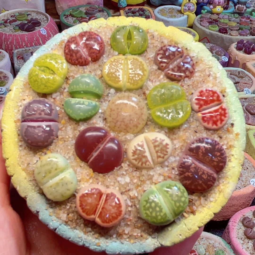 310。88888888888888888