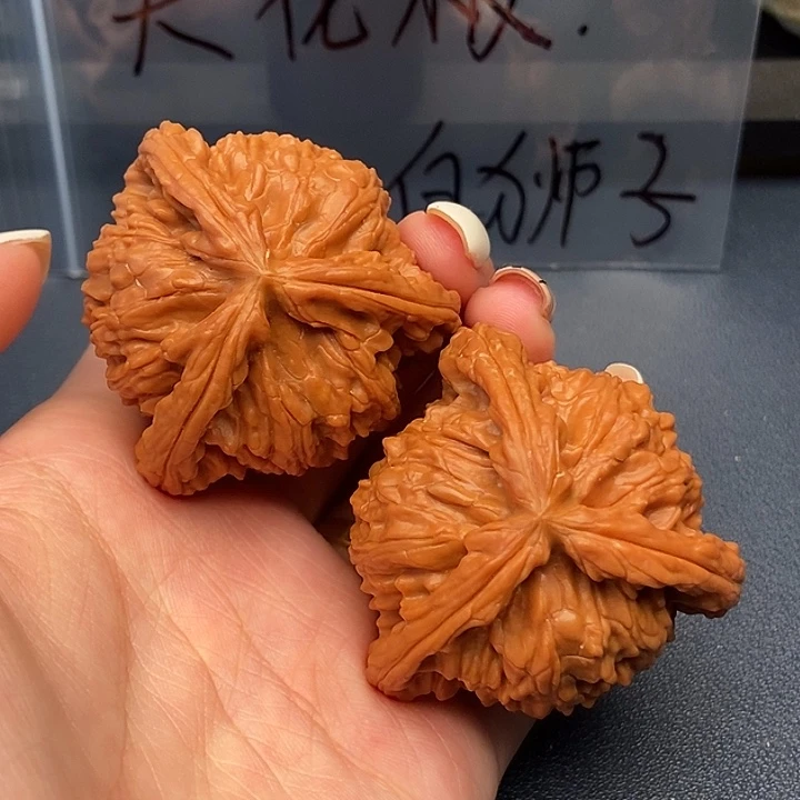 夜***色大叶紫檀（黑酸枝木类）白狮子