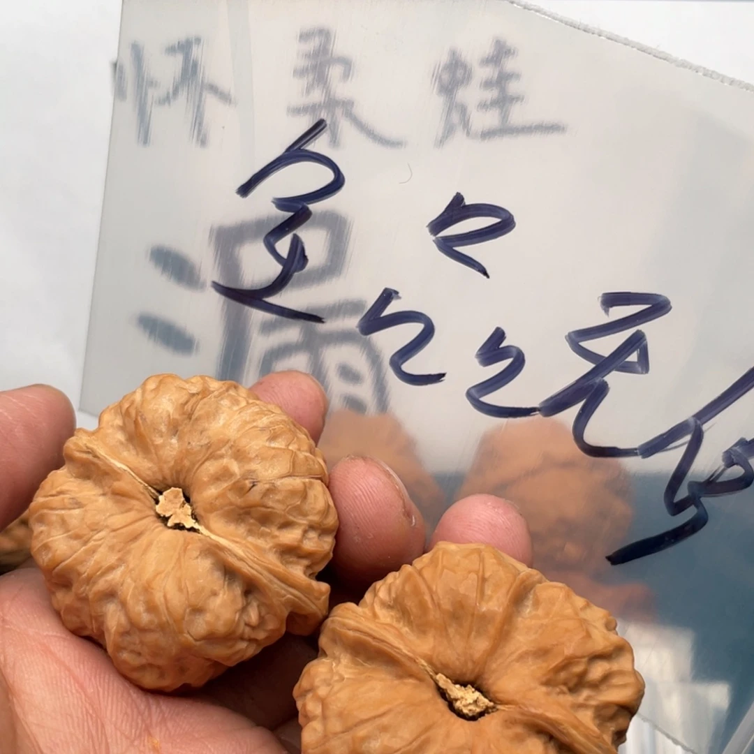 橄榄核手串/手链Q4797648468638863