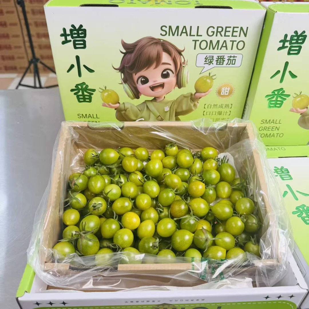 【只发天津主城区】增小番绿圣女果小柿子爆汁甜一箱带箱2.2斤左右