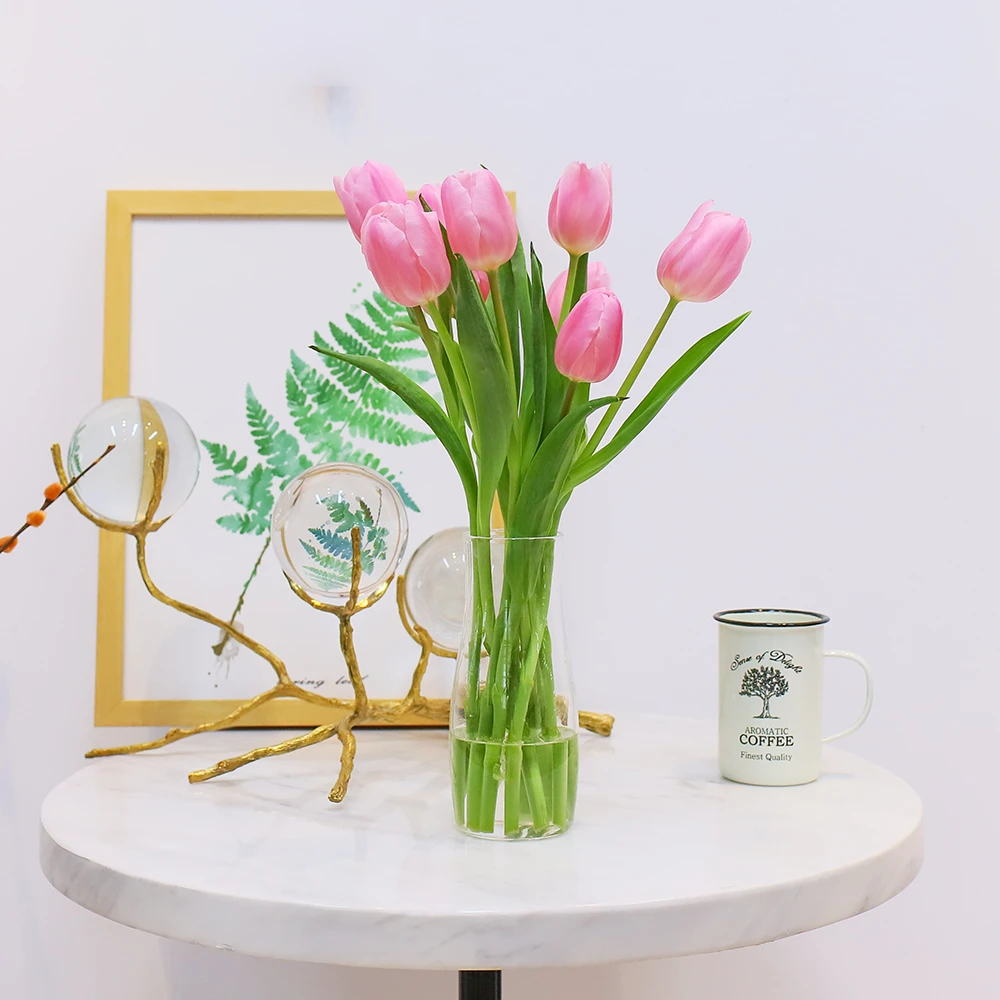 郁金香 10支 多种款式随机发货