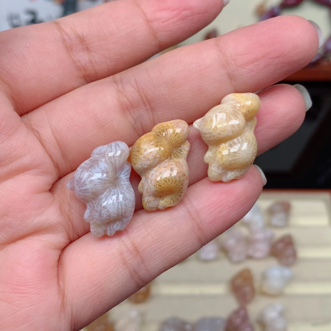 硅化玉珊瑚玉未镶嵌