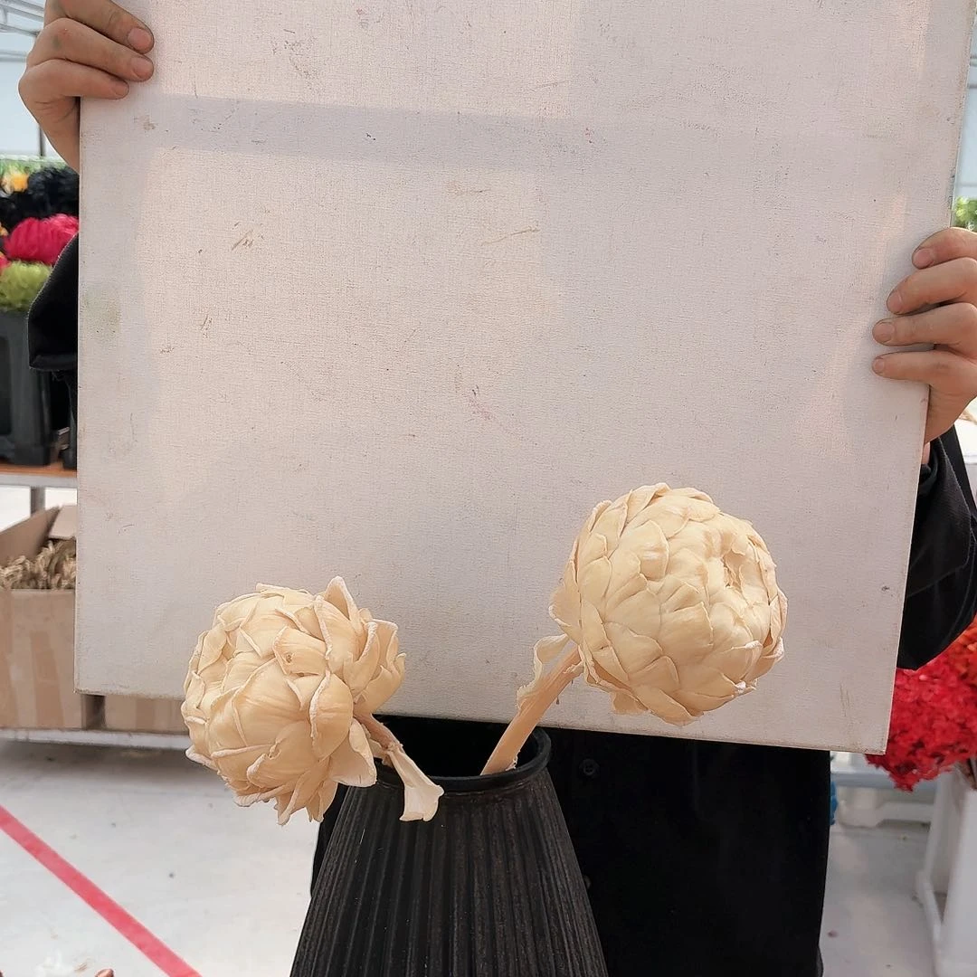 A27白色洋蓟两支永生花