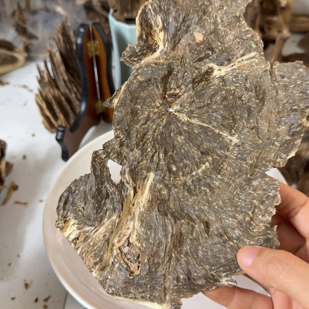 满***盈沉香碎屑沉香香港凤凰山老料31克