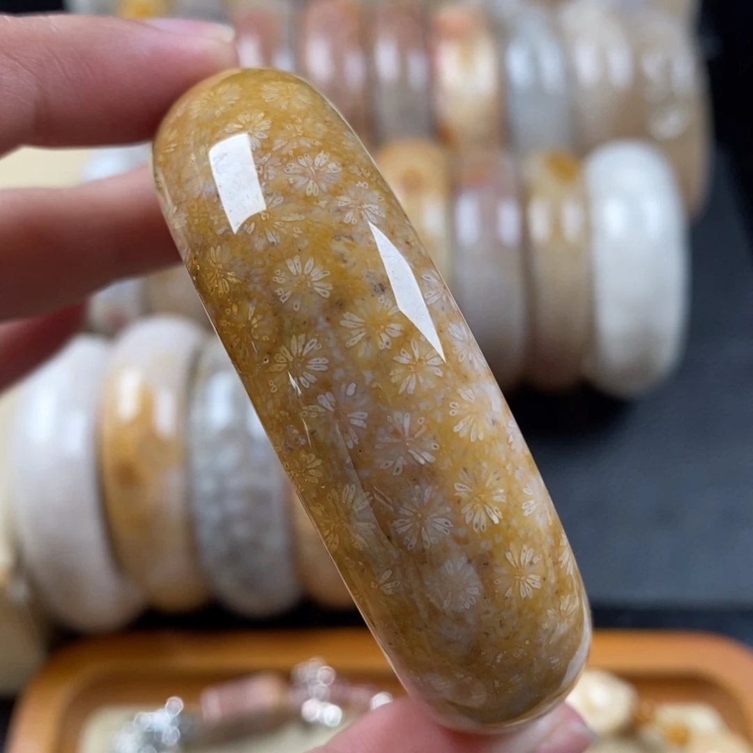 硅化珊瑚（珊瑚玉）手镯55+未镶嵌