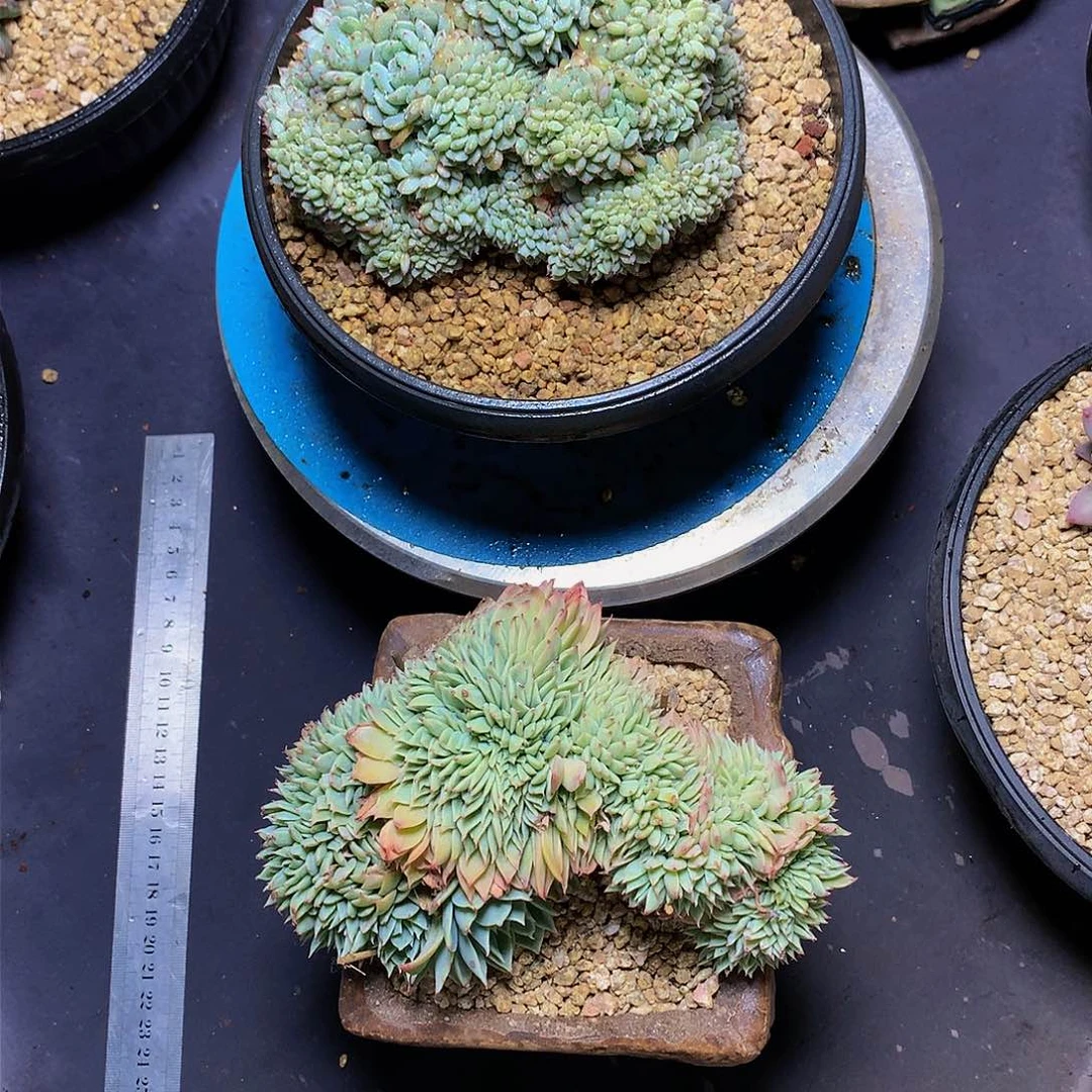 妞*哈哈哈哈哈哈哈哈哈哈哈