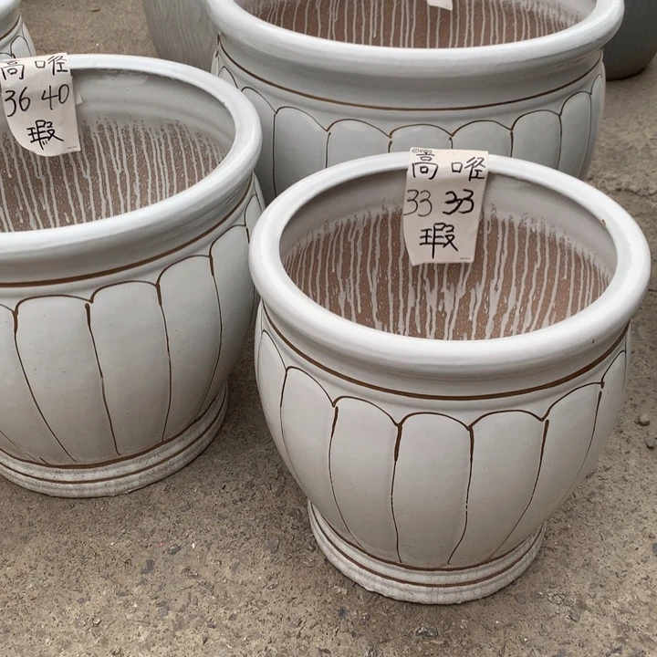 花盆里的小猫咪们都好