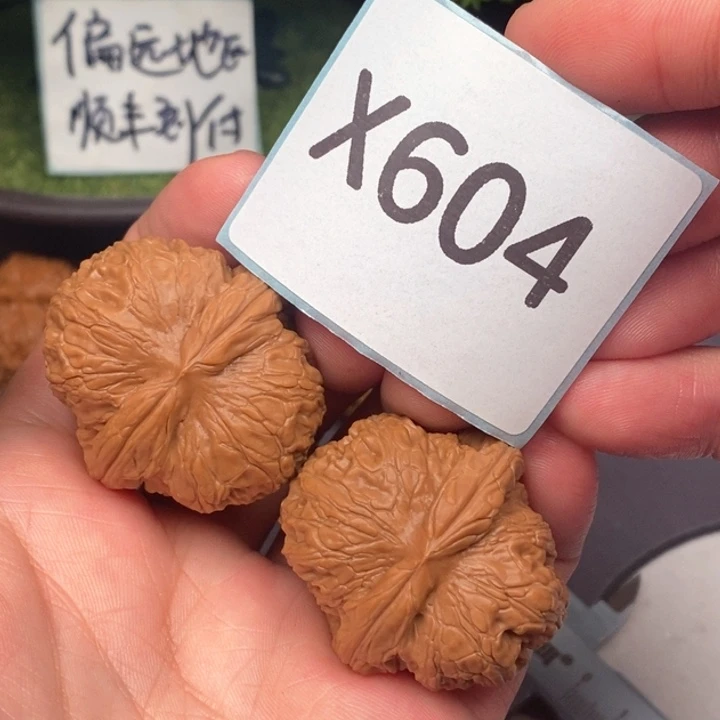 文玩核桃把件13013013013040