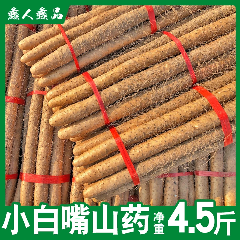 【蠡人蠡品】河北蠡县小白嘴山药4.5斤