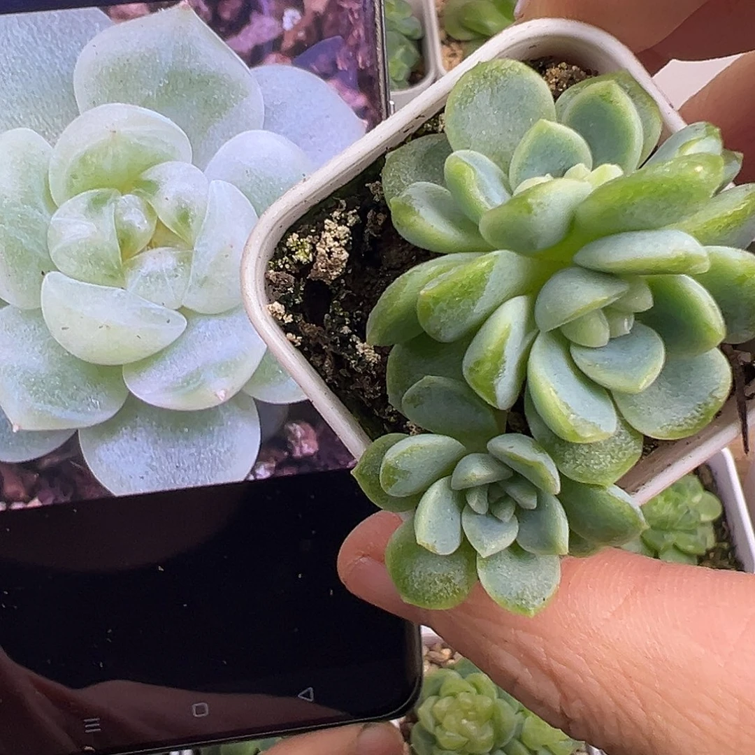 独家财富。有财。