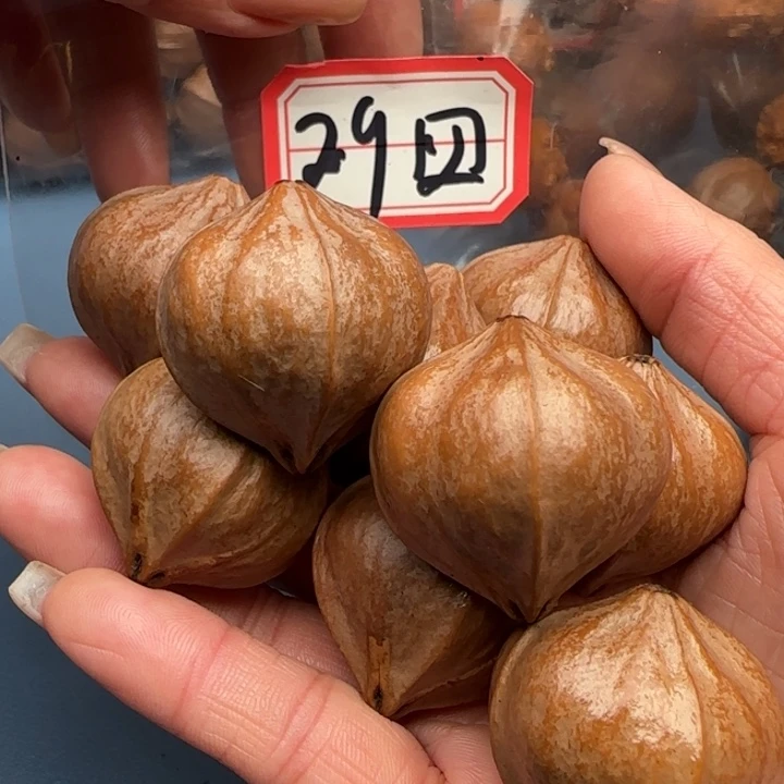 付***星手串橄榄核橄榄核