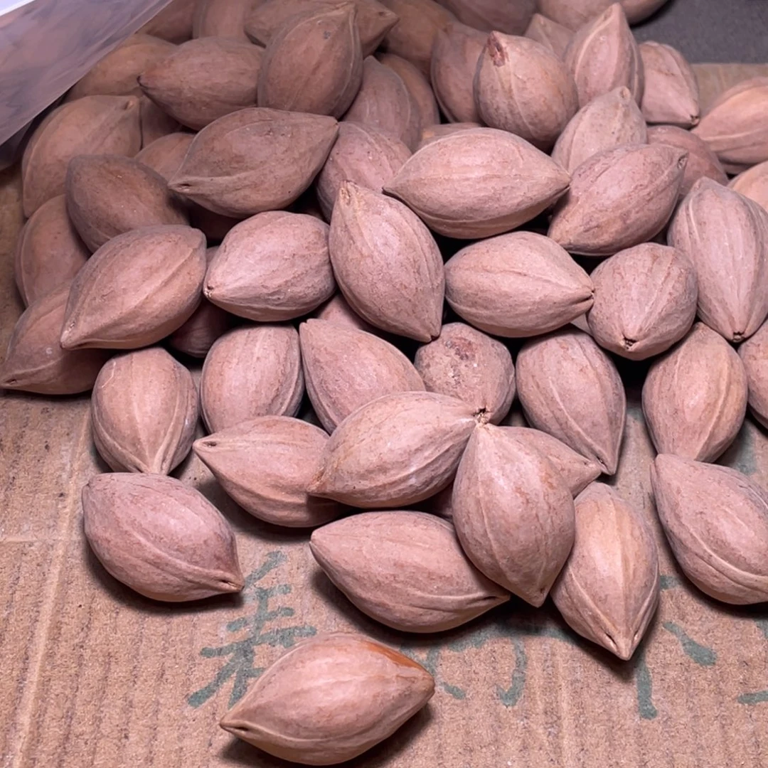 池***.橄榄核手串/手链不退不换qrr