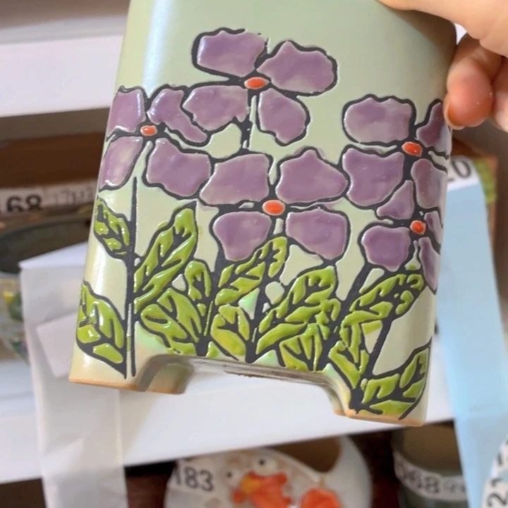 多肉花盆满15包邮