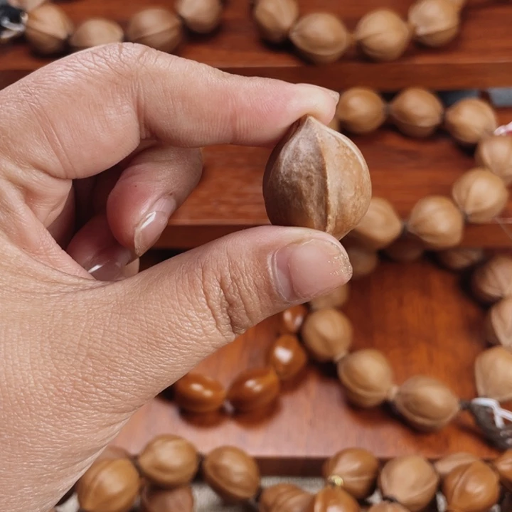 橄榄核手串/手链立*22/25梅林铁核