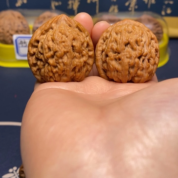 文玩核桃把件蚂蚁王