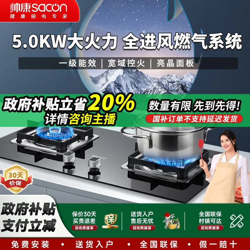 Sacon/帅康61B双灶家庭猛火燃气灶台嵌家用嵌入式猛火家用天然气